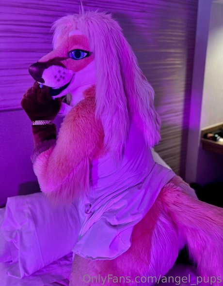 Photo nue de fuite OnlyFans de Angelpups