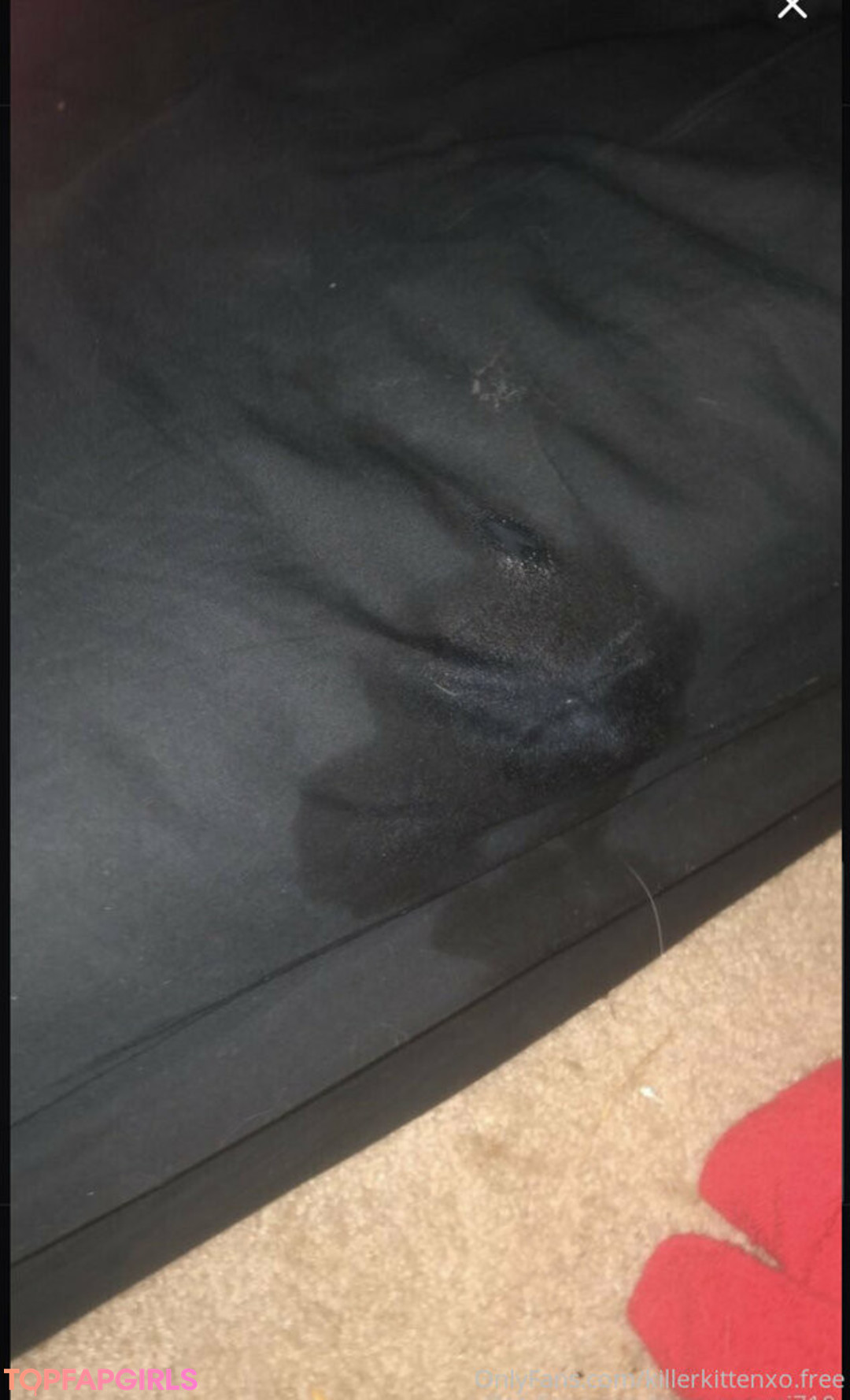 Photo nue de fuite OnlyFans de Killerkittenxofree #1 Photo nue de fuite OnlyFans de Killerkittenxofree #1