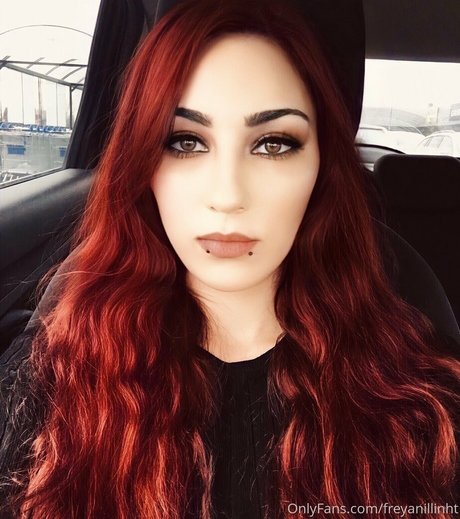 Freyanillinht