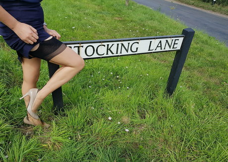 Orientalnylons