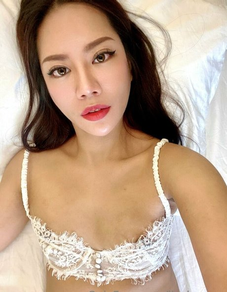 Lisalunarre