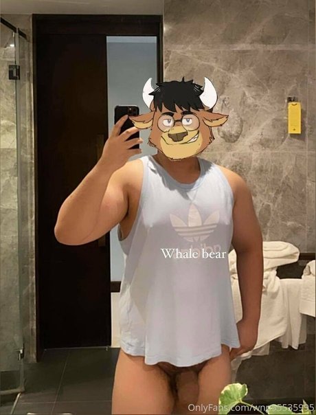 Wnp55535995