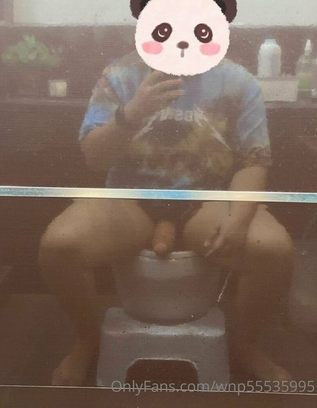 Wnp55535995