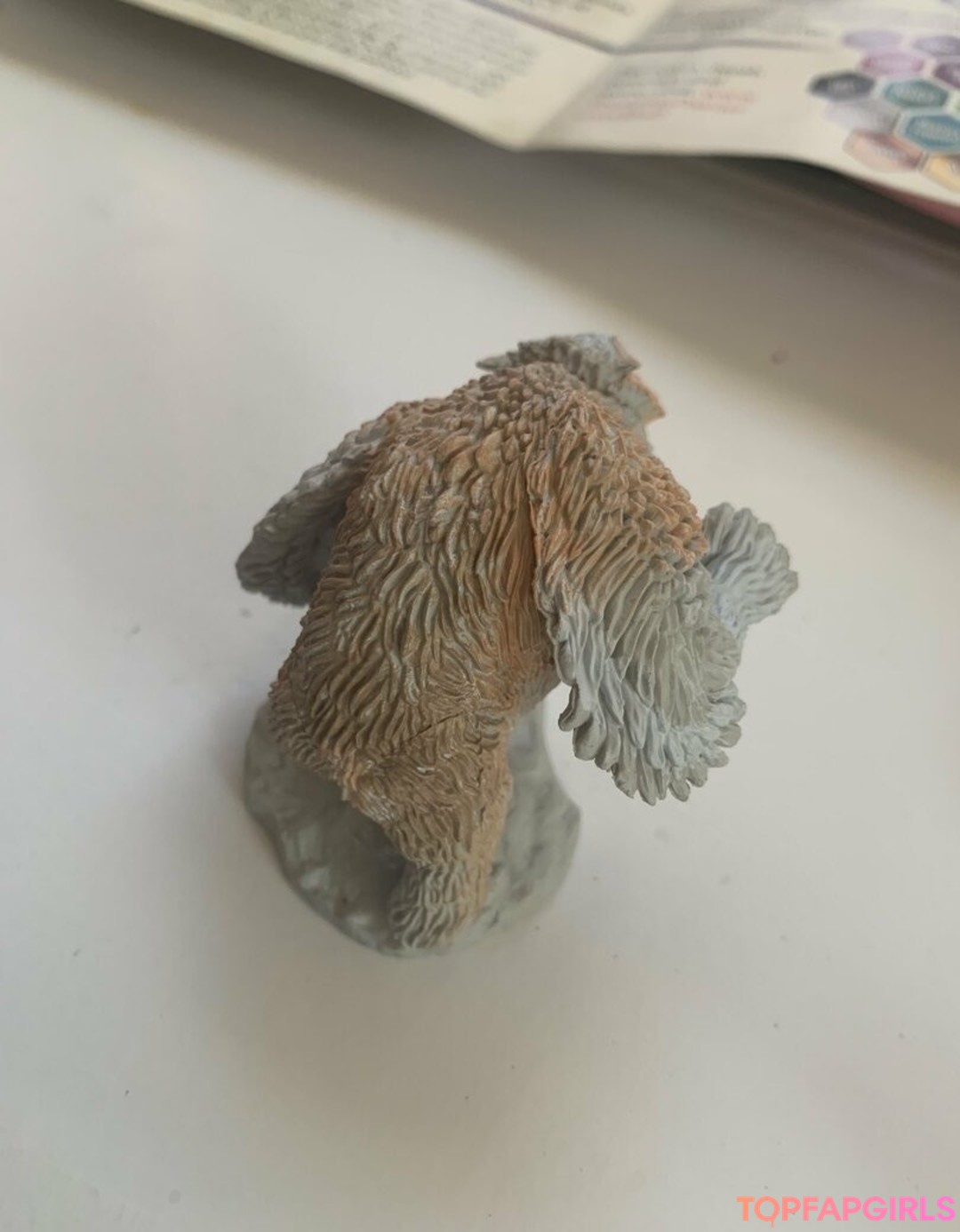 Photo nue de fuite OnlyFans de Elizabethreed #297 Photo nue de fuite OnlyFans de Elizabethreed #297