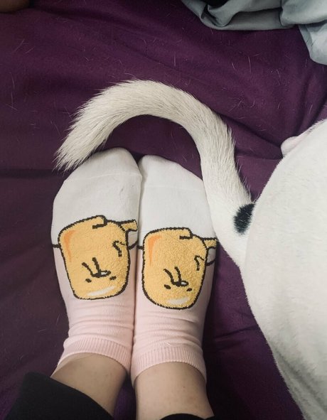 Elizabethreed