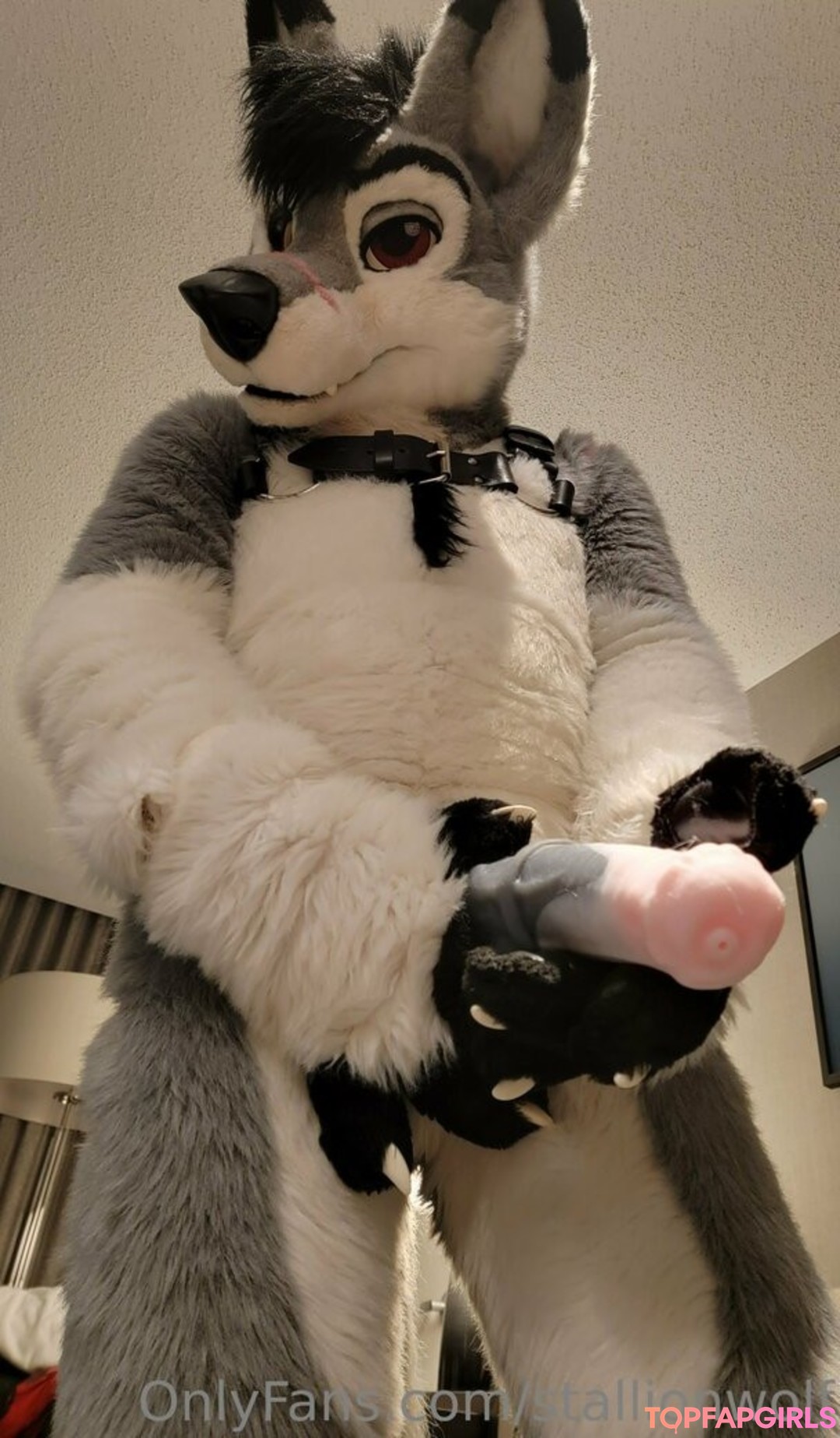 Photo nue de fuite OnlyFans de Stallionwolf #44 Photo nue de fuite OnlyFans de Stallionwolf #44