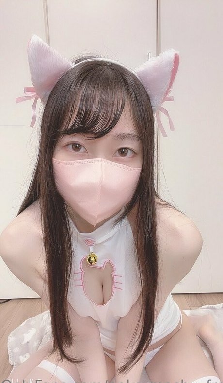 Nekomashufree
