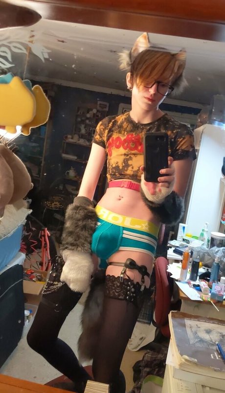 Catgodx