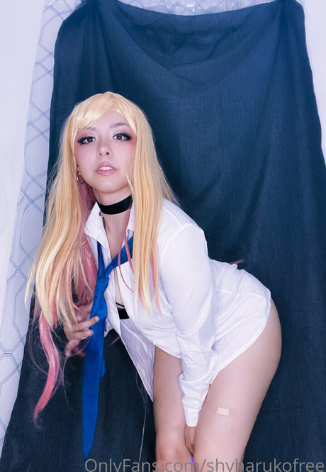 Shyharukofree